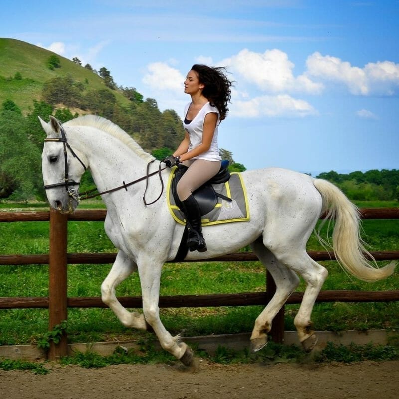 Horse Riding session Bod-Harman 1